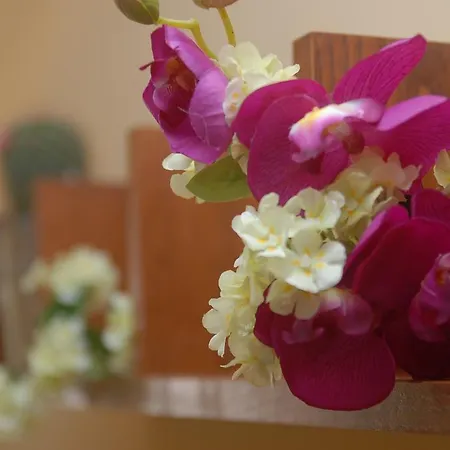La Casina Nel Borgo Holiday home *